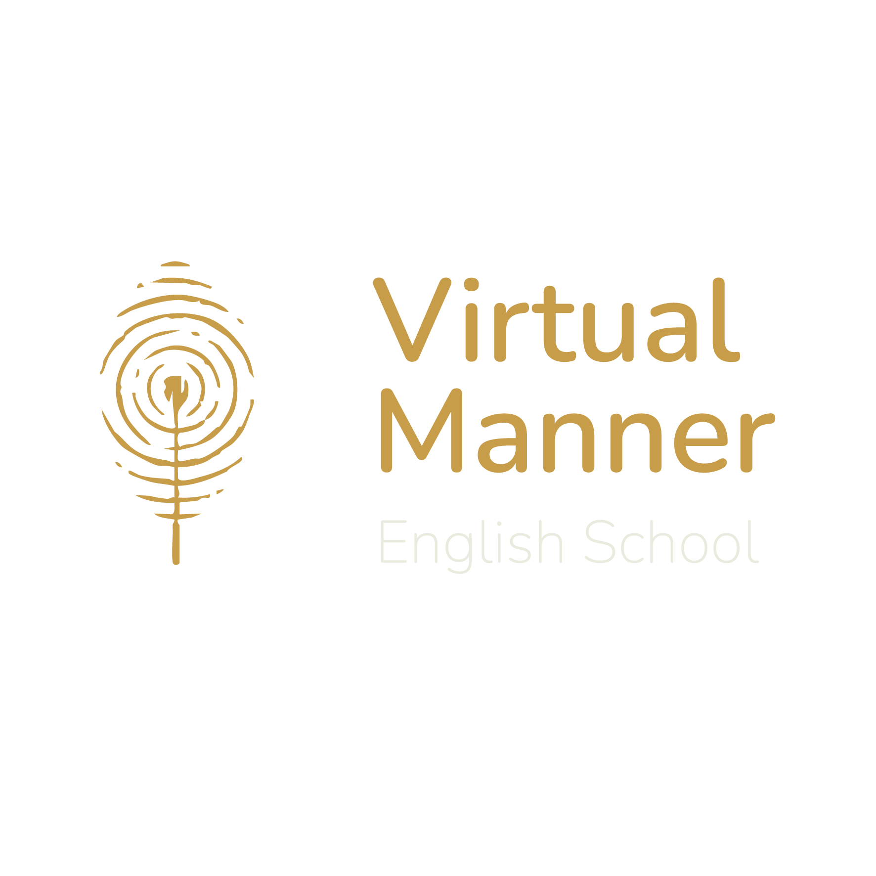 Virtual Manner English School